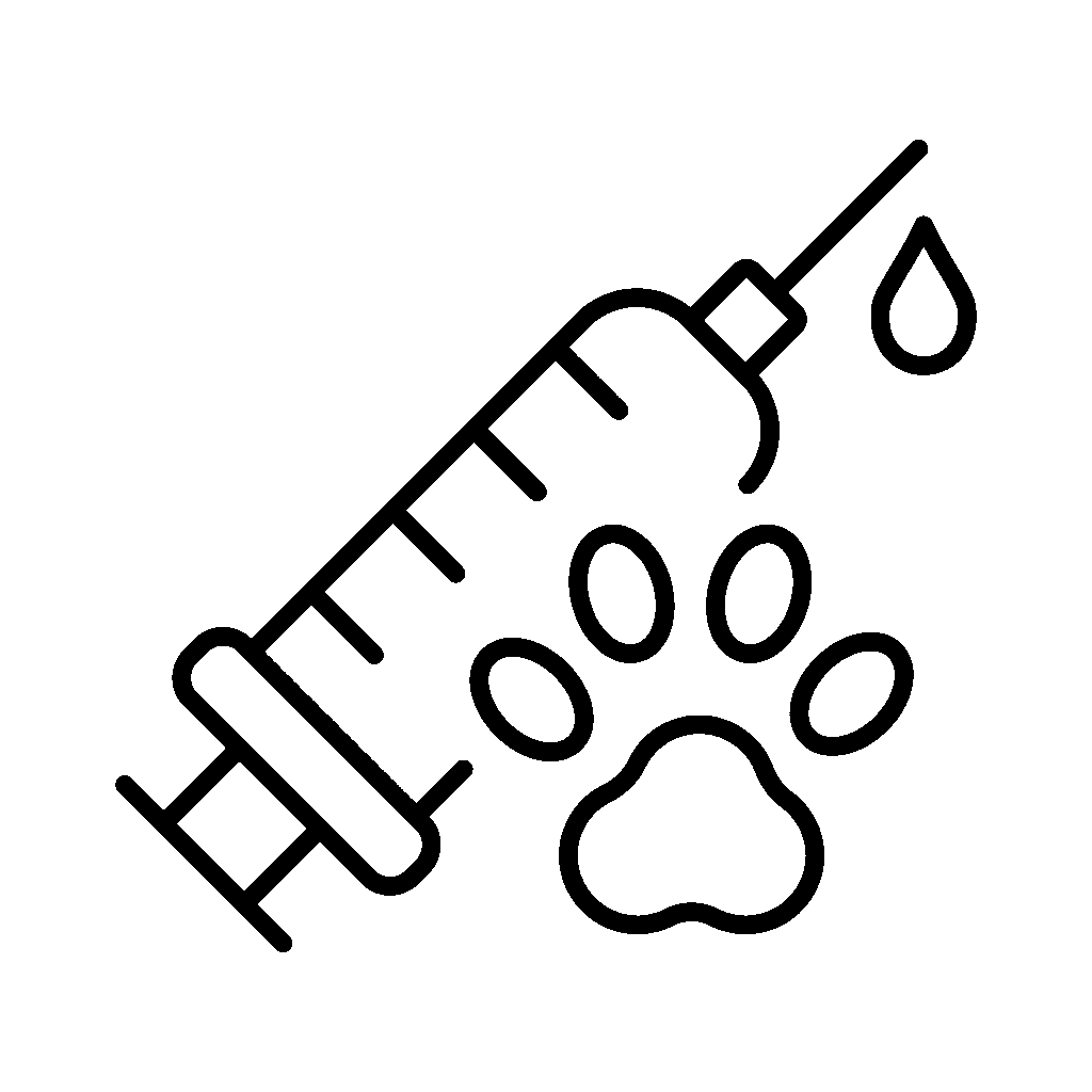 Cirugías Generales y Preventivas